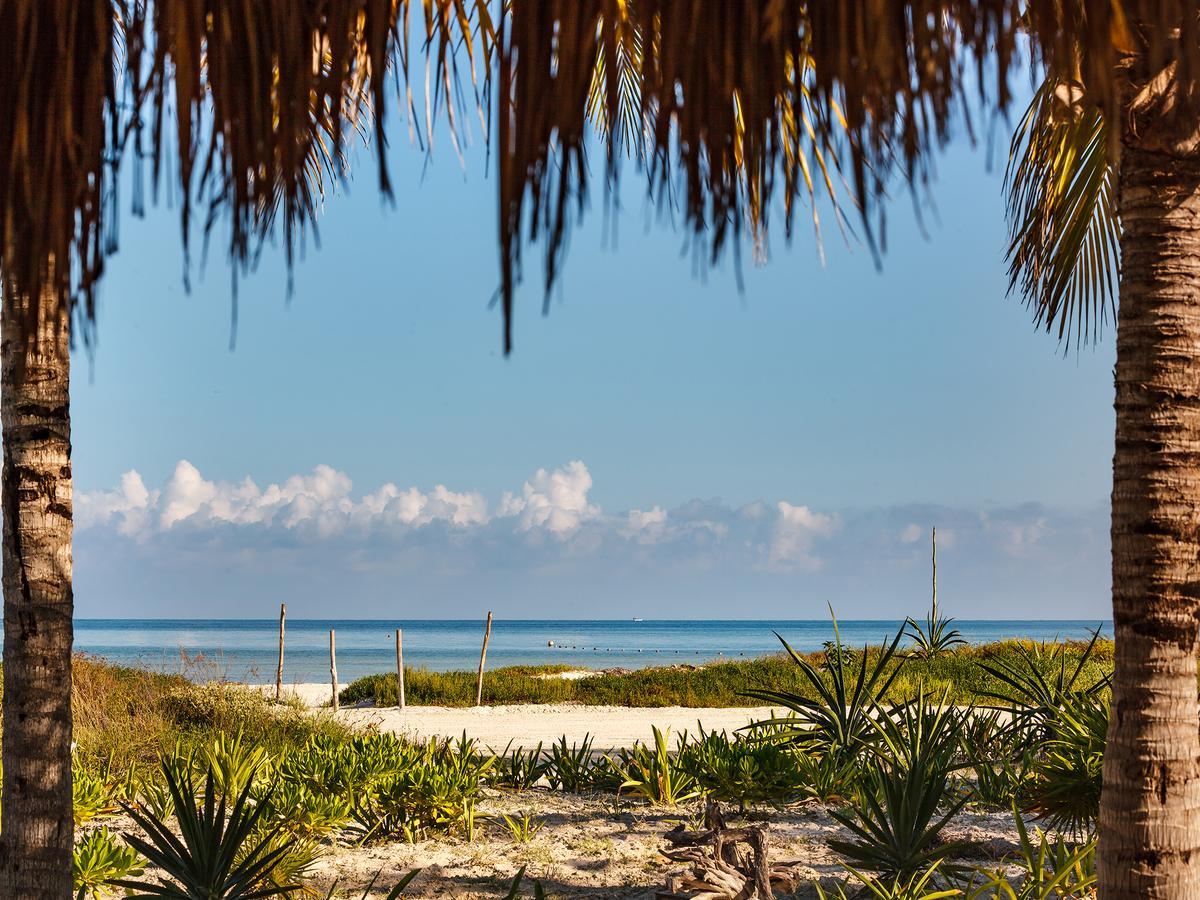 Villas Hm Palapas Del Mar جزيرة هول بوكس المظهر الخارجي الصورة